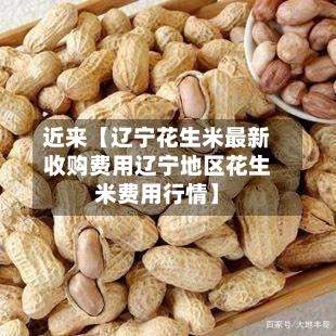 近来【辽宁花生米最新收购费用辽宁地区花生米费用行情】