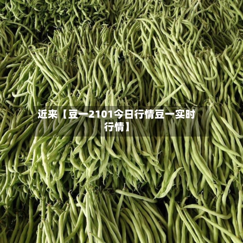 近来【豆一2101今日行情豆一实时行情】
