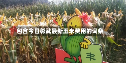 包含今日彰武最新玉米费用的词条