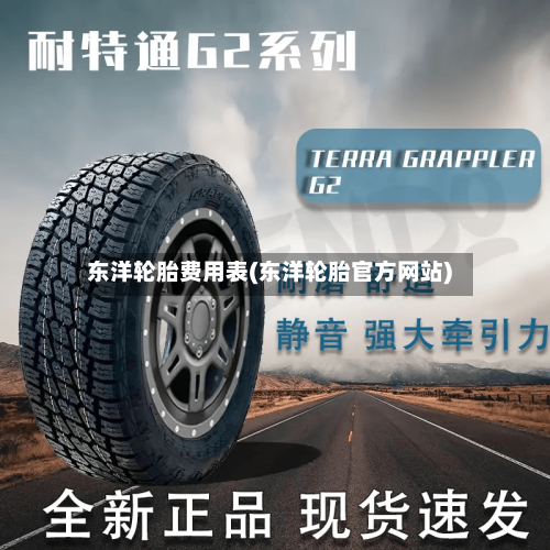 东洋轮胎费用表(东洋轮胎官方网站)-第2张图片