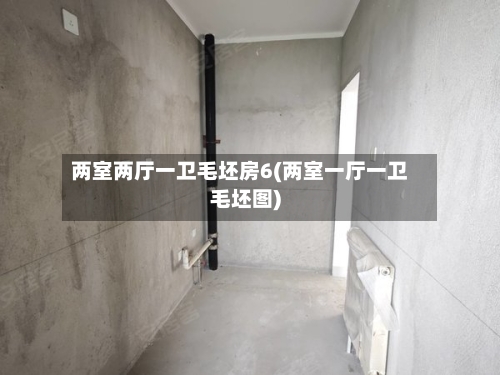 两室两厅一卫毛坯房6(两室一厅一卫毛坯图)
