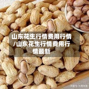 山东花生行情费用行情/山东花生行情费用行情最新-第2张图片