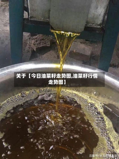 关于【今日油菜籽走势图,油菜籽行情走势图】-第2张图片