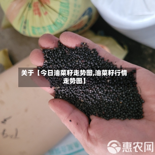 关于【今日油菜籽走势图,油菜籽行情走势图】