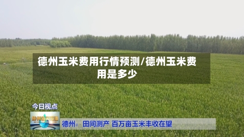 德州玉米费用行情预测/德州玉米费用是多少