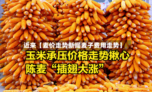 近来【麦价走势新闻麦子费用走势】