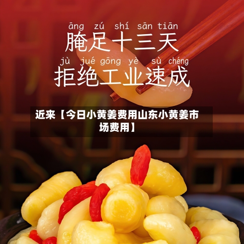 近来【今日小黄姜费用山东小黄姜市场费用】-第3张图片
