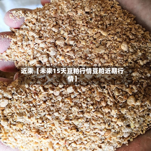 近来【未来15天豆粕行情豆粕近期行情】-第3张图片