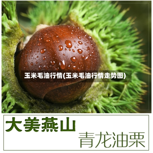 玉米毛油行情(玉米毛油行情走势图)-第3张图片