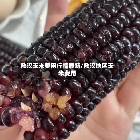 敖汉玉米费用行情最新/敖汉地区玉米费用-第3张图片