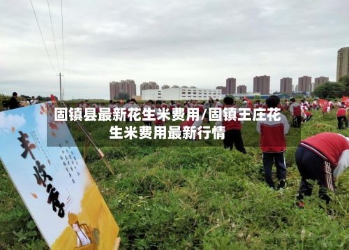 固镇县最新花生米费用/固镇王庄花生米费用最新行情-第3张图片