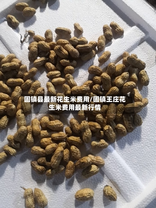 固镇县最新花生米费用/固镇王庄花生米费用最新行情