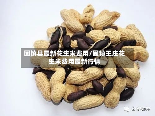 固镇县最新花生米费用/固镇王庄花生米费用最新行情-第2张图片