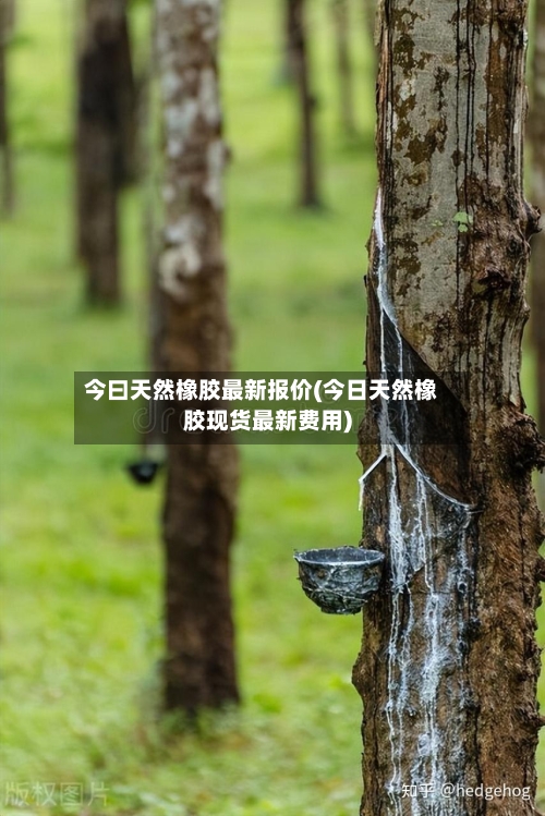 今曰天然橡胶最新报价(今日天然橡胶现货最新费用)