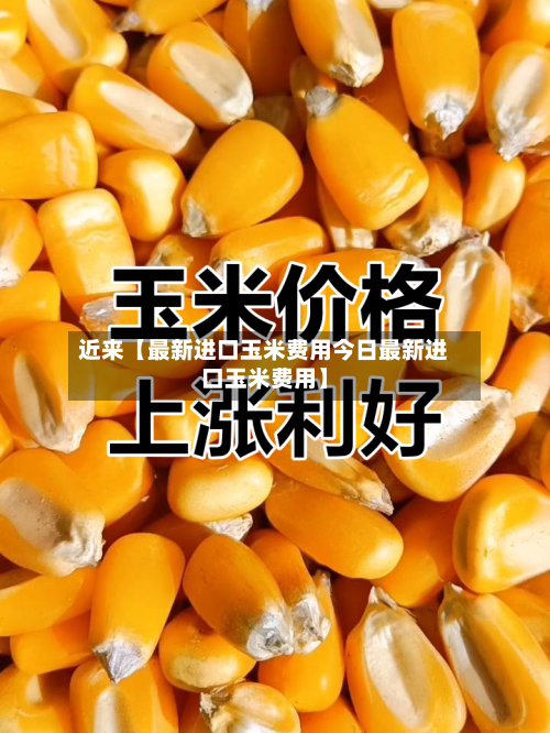 近来【最新进口玉米费用今日最新进口玉米费用】-第3张图片