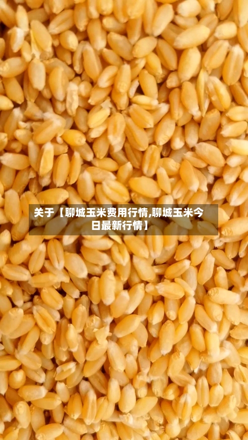 关于【聊城玉米费用行情,聊城玉米今日最新行情】-第2张图片