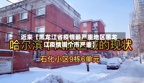 近来【黑龙江省疫情最严重地区黑龙江疫情哪个市严重】-第2张图片