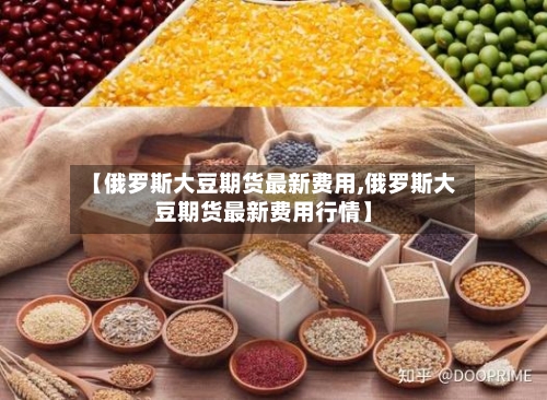 【俄罗斯大豆期货最新费用,俄罗斯大豆期货最新费用行情】-第2张图片