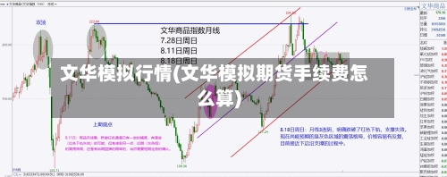 文华模拟行情(文华模拟期货手续费怎么算)