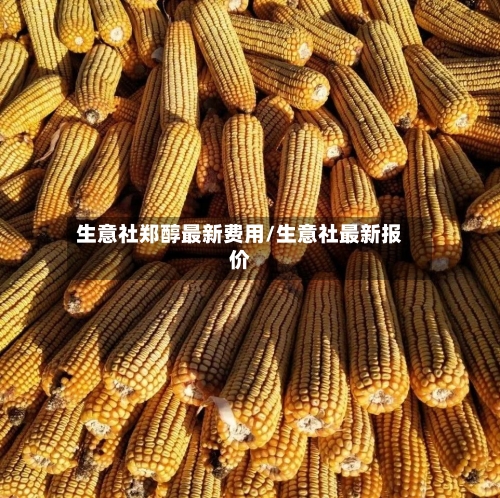生意社郑醇最新费用/生意社最新报价