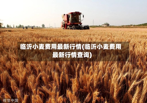 临沂小麦费用最新行情(临沂小麦费用最新行情查询)-第2张图片