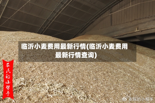 临沂小麦费用最新行情(临沂小麦费用最新行情查询)