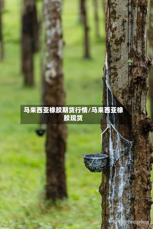 马来西亚橡胶期货行情/马来西亚橡胶现货
