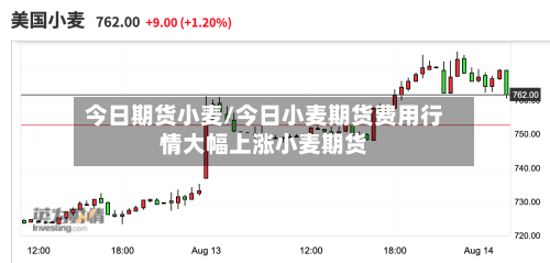 今日期货小麦/今日小麦期货费用行情大幅上涨小麦期货-第2张图片