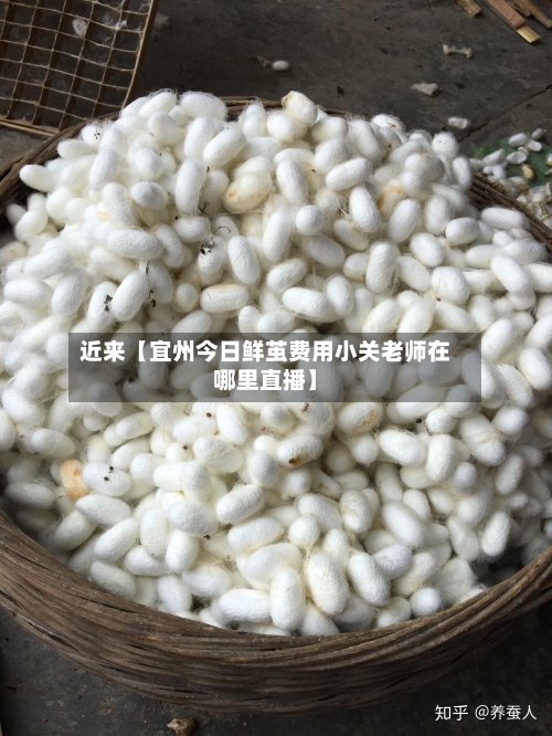 近来【宜州今日鲜茧费用小关老师在哪里直播】