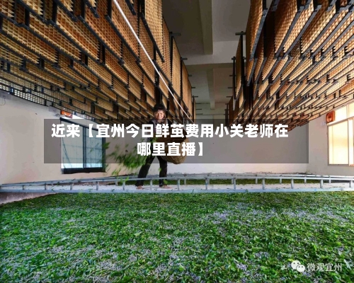 近来【宜州今日鲜茧费用小关老师在哪里直播】-第3张图片