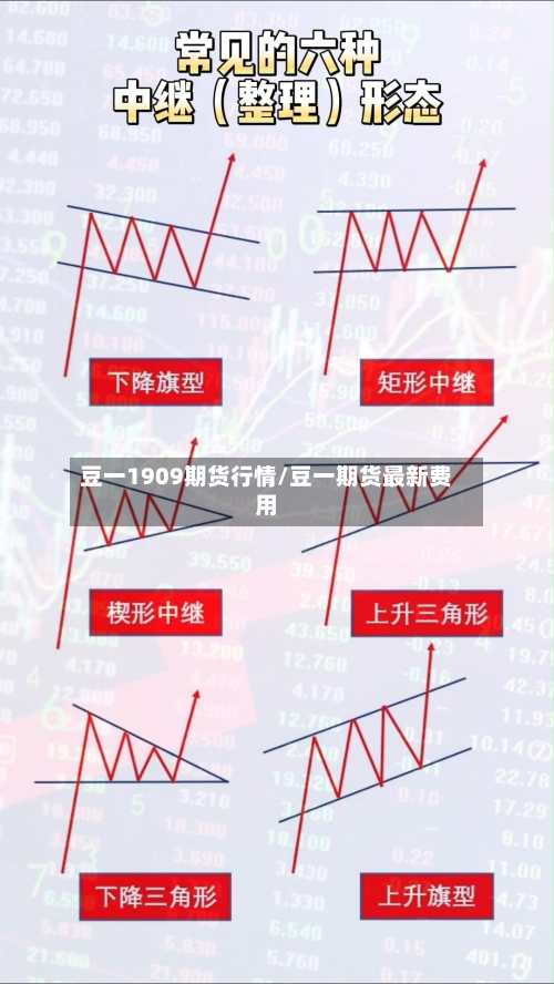 豆一1909期货行情/豆一期货最新费用