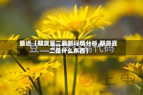 最近【期货豆二最新行情分析,期货豆二是什么东西】-第2张图片