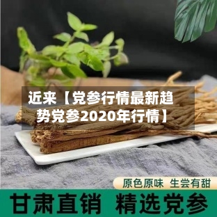 近来【党参行情最新趋势党参2020年行情】