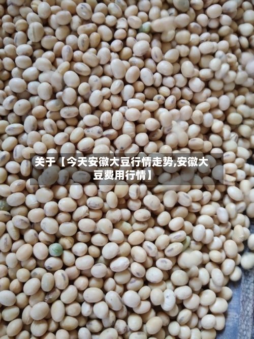 关于【今天安徽大豆行情走势,安徽大豆费用行情】