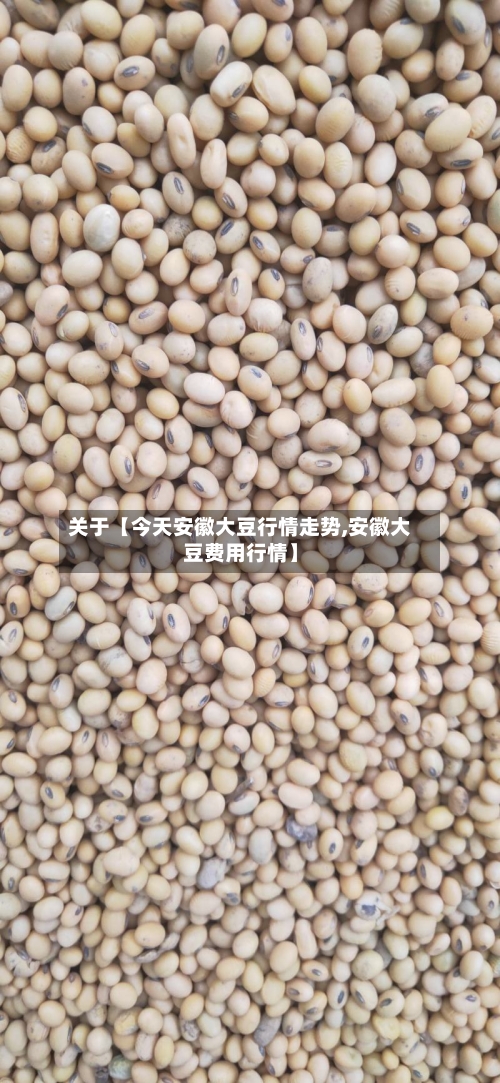 关于【今天安徽大豆行情走势,安徽大豆费用行情】-第2张图片
