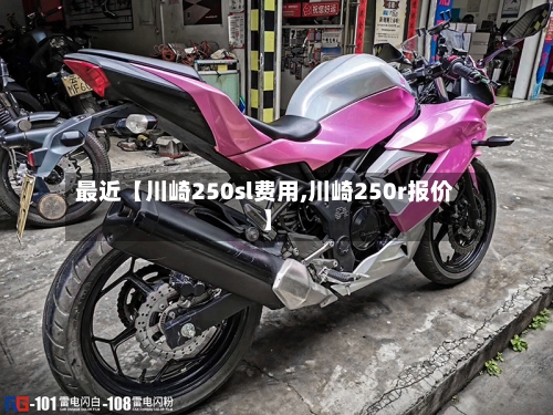 最近【川崎250sl费用,川崎250r报价】-第2张图片