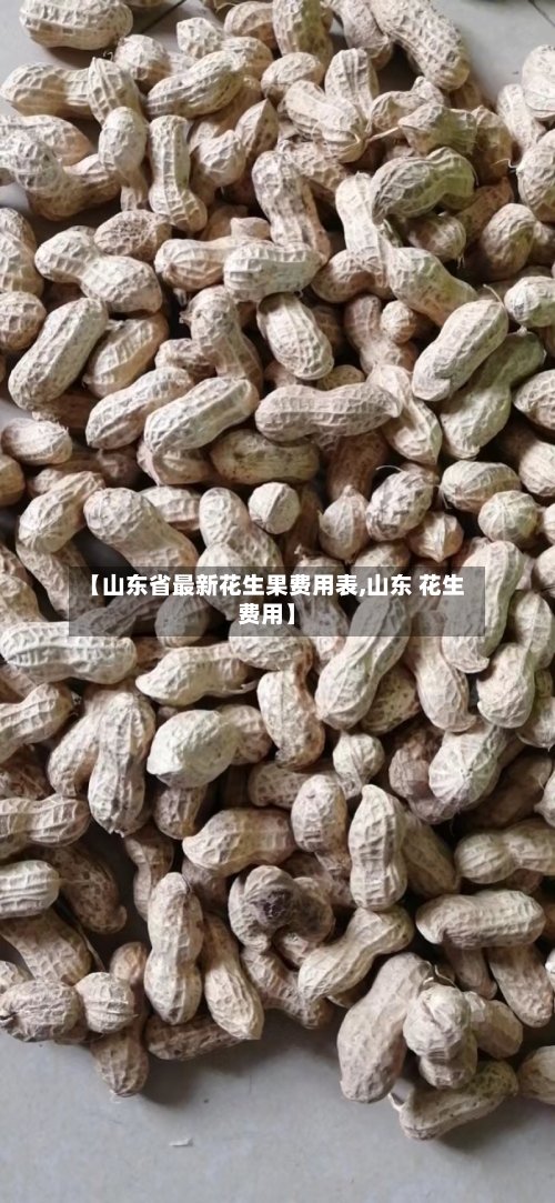 【山东省最新花生果费用表,山东 花生费用】-第2张图片