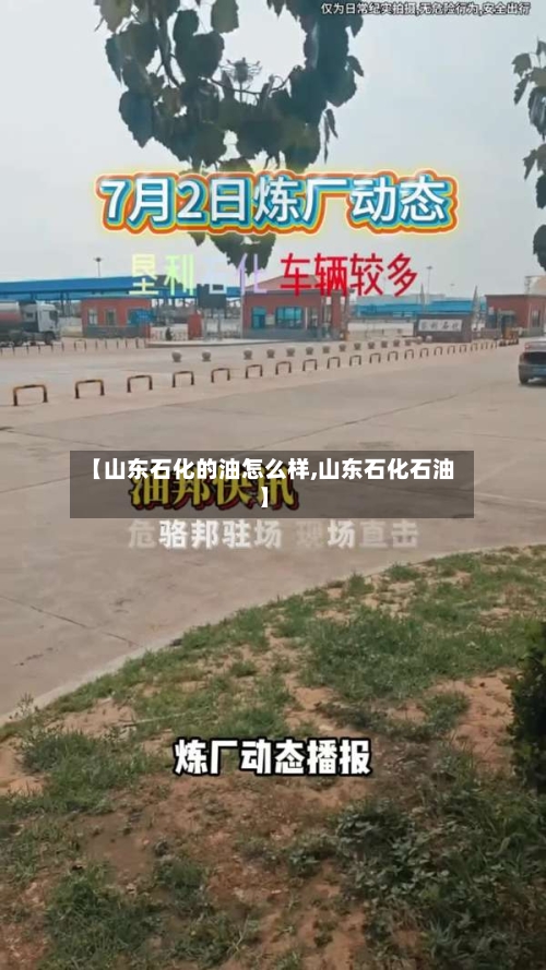 【山东石化的油怎么样,山东石化石油】-第2张图片