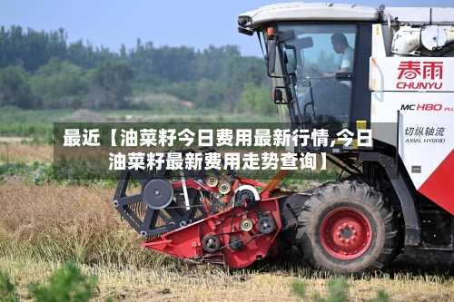 最近【油菜籽今日费用最新行情,今日油菜籽最新费用走势查询】-第2张图片