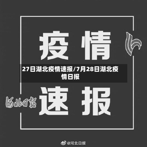 27日湖北疫情速报/7月28日湖北疫情日报