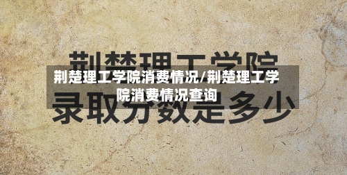 荆楚理工学院消费情况/荆楚理工学院消费情况查询-第3张图片