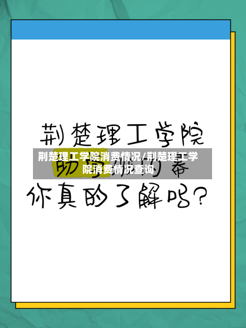 荆楚理工学院消费情况/荆楚理工学院消费情况查询
