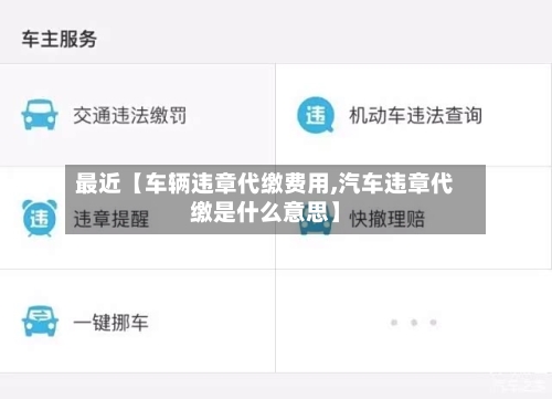 最近【车辆违章代缴费用,汽车违章代缴是什么意思】-第2张图片