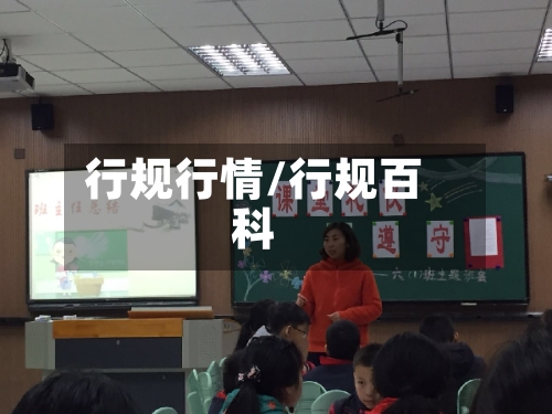 行规行情/行规百科-第2张图片