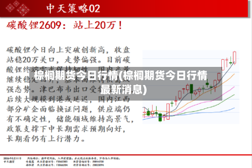 棕榈期货今日行情(棕榈期货今日行情最新消息)