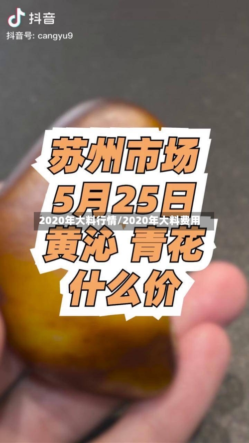 2020年大料行情/2020年大料费用-第2张图片