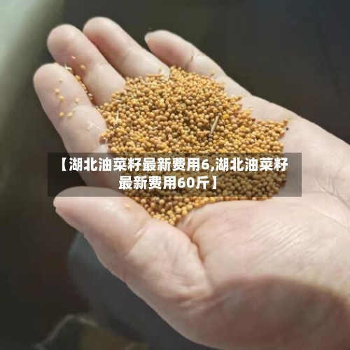 【湖北油菜籽最新费用6,湖北油菜籽最新费用60斤】-第2张图片