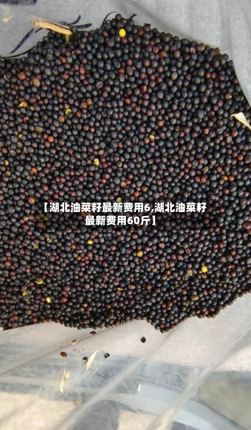【湖北油菜籽最新费用6,湖北油菜籽最新费用60斤】
