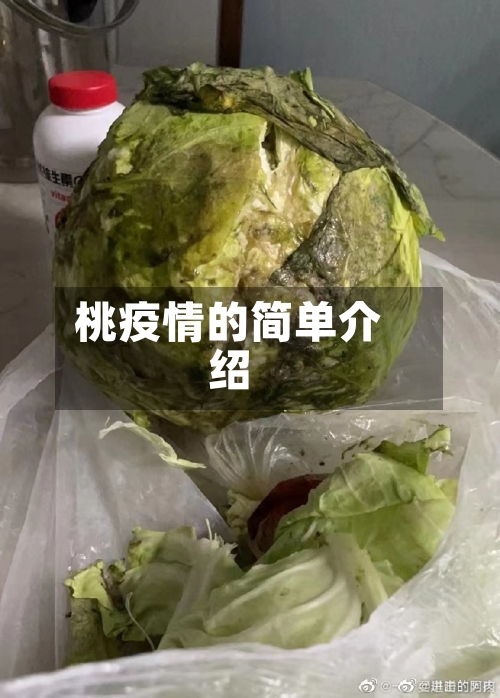桃疫情的简单介绍