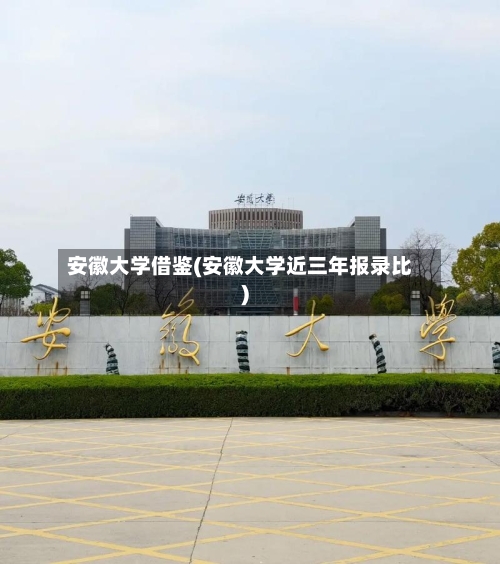 安徽大学借鉴(安徽大学近三年报录比)